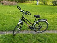 Damen Fahrrad LUXOR Baden-Württemberg - Reutlingen Vorschau