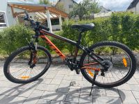 Scott Mountainbike Bayern - Stulln Vorschau