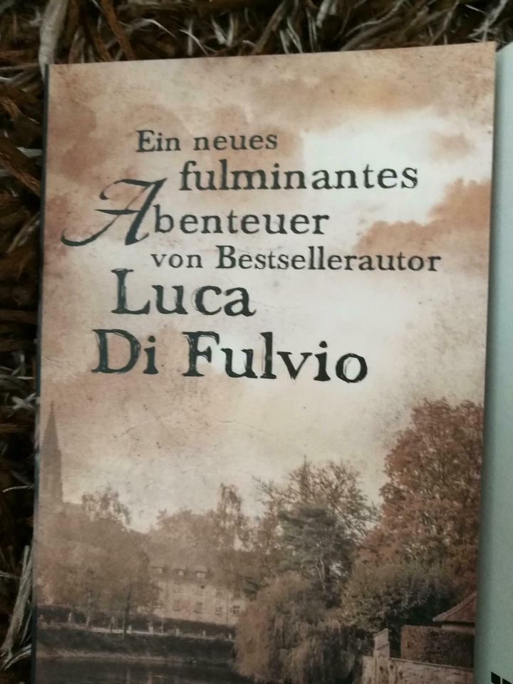 Das Kind, das nachts die Sonne fand Buch Roman Luca Di Fulvio in Gießen