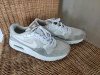 Nike Air Max beige Gr. 38,5 Hessen - Limeshain Vorschau