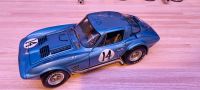 Exoto 1:18 Chevrolet Corvette Grand Sport Wandsbek - Hamburg Poppenbüttel Vorschau