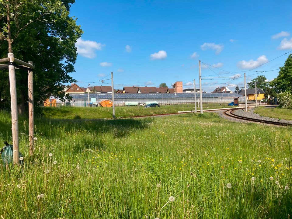 Gärtnerei/Gewerbegrundstück in Plauen