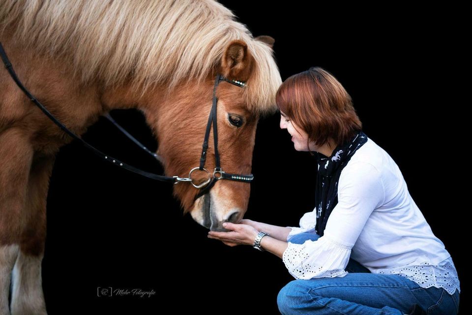 Reittherapie auf Isländer / pferdegestütztes Coaching in Wrist