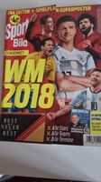 Sport Bild WM 2018 Rheinland-Pfalz - Kirchheim an der Weinstraße Vorschau