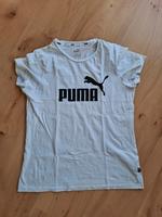 Puma T-shirt Sachsen - Bad Dueben Vorschau