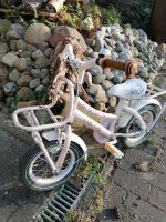 Holland Hello Kitty Fahrrad 12 1/2 Zoll Schleswig-Holstein - Quarnbek Vorschau