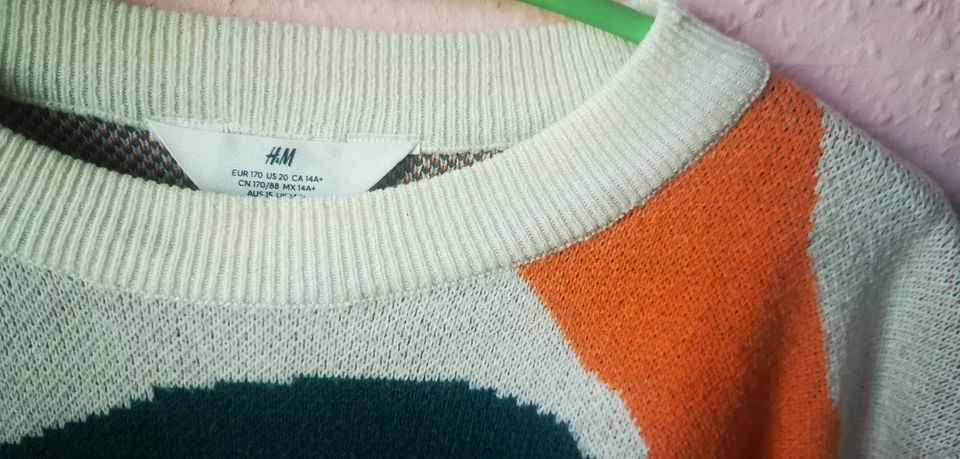 Damen Pullover von H&M bunt Farben Gr. 38 170 in Leipzig