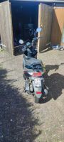 Alpha Motors Motorroller Speedster S Schleswig-Holstein - Rickling Vorschau