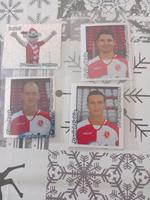 panini sticker cottbus  bundesliga 08/09 Brandenburg - Senftenberg Vorschau