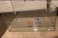 Terrarium Kleintiere 60x30x30 20€ Baden-Württemberg - Wyhl Vorschau