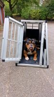 Alpuna Hunde Transportbox N40 Hundebox Auto Wandsbek - Steilshoop Vorschau