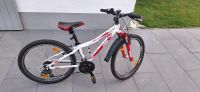 Mädchen Fahrrad von KTM WILDBEE 20 ZOLL 18 Gang Bayern - Mistelbach Vorschau