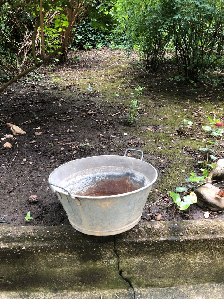 1 x Zinkwanne Shabby deko Garten Kübel Blumentopf in Düsseldorf