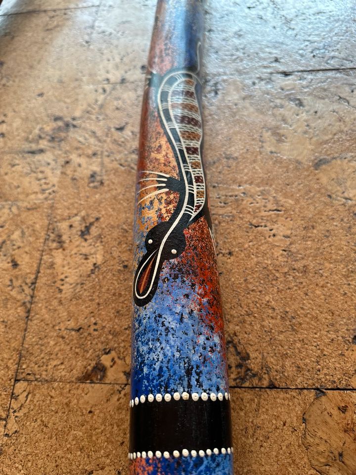 Didgeridoo, Bumerang Australien Sammlung in Pleidelsheim