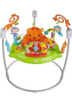 Fisher Price Jumperoo Rain Forest Hessen - Felsberg Vorschau