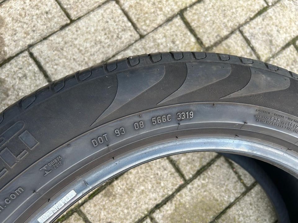 Pirelli Scorpion Verde 235/55R19 Sommerreifen in Stralsund