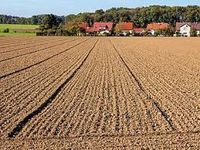 Grundstücke zum Mähen zu verpachten Baden-Württemberg - Ravensburg Vorschau