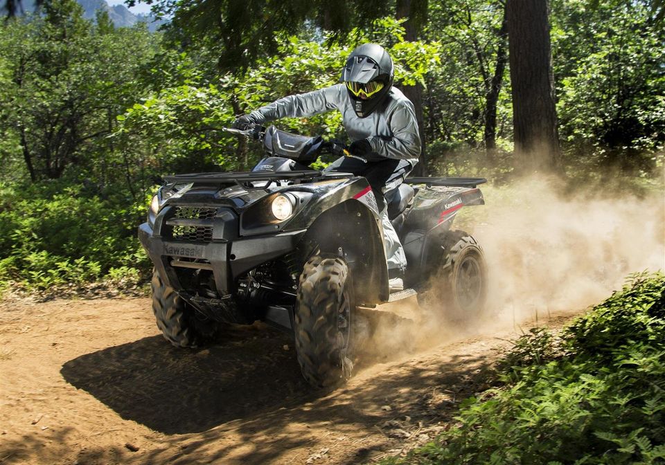 Kawasaki Brute Force 750 in Hilzingen