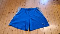 Puma Herren Sporthose Größe XL blau Hessen - Flieden Vorschau