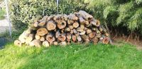 Brennholz von Obstbäumen Bayern - Kulmain Vorschau