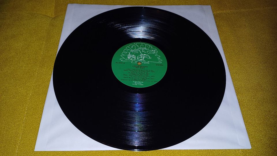 Lonnie Brooks – Hot Shot Alligator Records – AL 4731 Vinyl in Essen