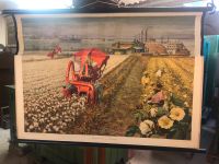 Schulwandkarte Die Baumwollplantage am Mississippi 60 er Jahre Nordrhein-Westfalen - Tönisvorst Vorschau