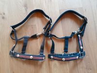 Halfter Westernhalfter Gr. Pony Braun und schwarz Bayern - Freilassing Vorschau