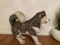 Steiff Studio Husky Grau, Stehend, 80 cm Studiotier Sammlerstück Rheinland-Pfalz - Andernach Vorschau