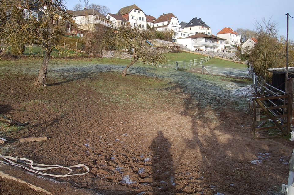 Für Bauträger: 4300 qm gute Innenstadtlage warten auf Entwicklung in Marsberg