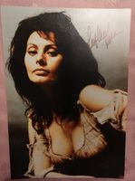 Sofia Loren orignal Autogramm auf Großfoto Bayern - Münchberg Vorschau