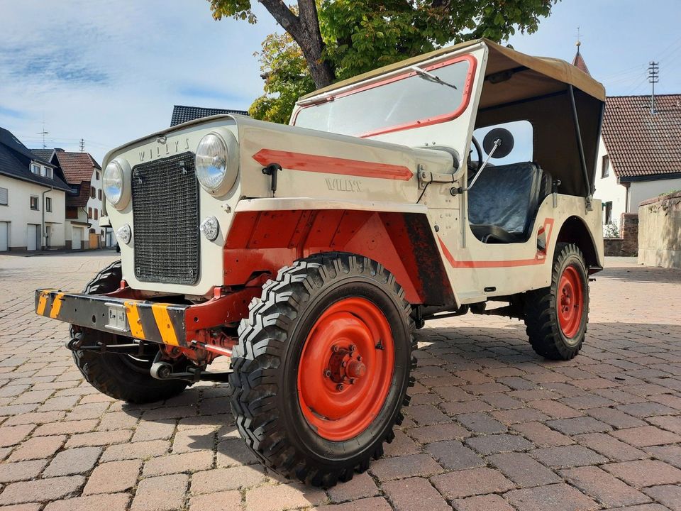 Jeep Willys/ H-Zulassung/Schweizer Fahrzeug in Emmendingen