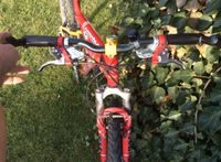 Mountainbike 26 Zoll, neue Reifen Hessen - Hessisch Lichtenau Vorschau