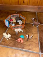 Schleich Farm Life Streichelzoo Niedersachsen - Neustadt am Rübenberge Vorschau