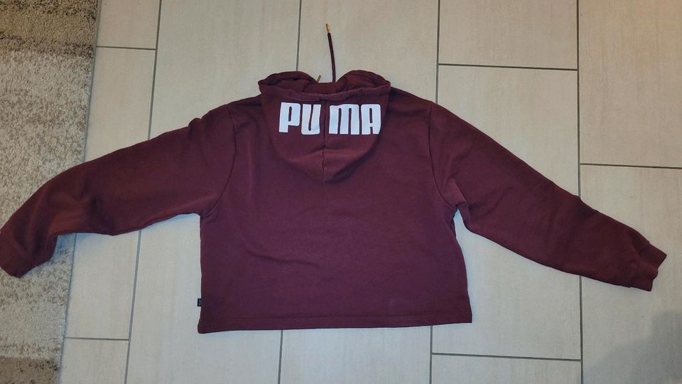 Puma Kapuzenpullover Gr. L in Nienburg (Weser)