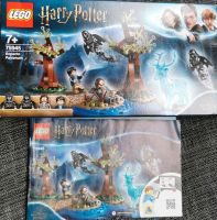 Lego Harry Potter 75945 Expecto Patronum Nordrhein-Westfalen - Rhede Vorschau