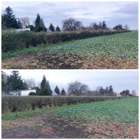 Hecke schneiden Strauch Baum Rasenpflege Laub Unkraut Sachsen-Anhalt - Queis Vorschau