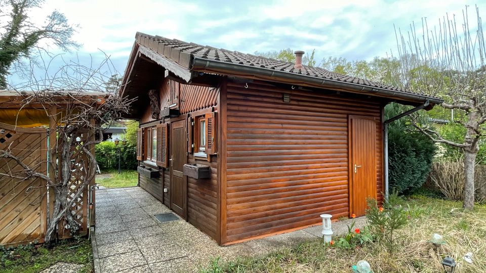 Garten, Grundstück, Wochenendhaus in Hakenfelde in Berlin