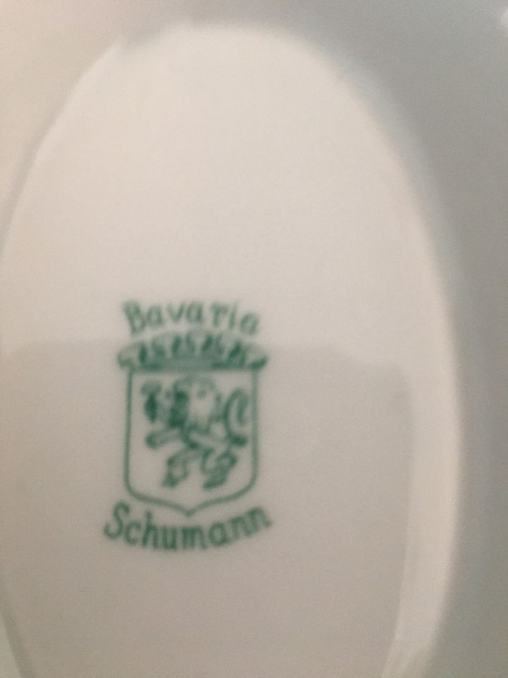 vollständiges Eßservice Schumann Bavaria weiß Blümchen um 1920 in Pirmasens