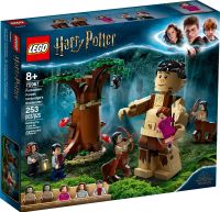 LEGO® Harry Potter 75967 Der Verbotene Wald Nordrhein-Westfalen - Rheinbach Vorschau