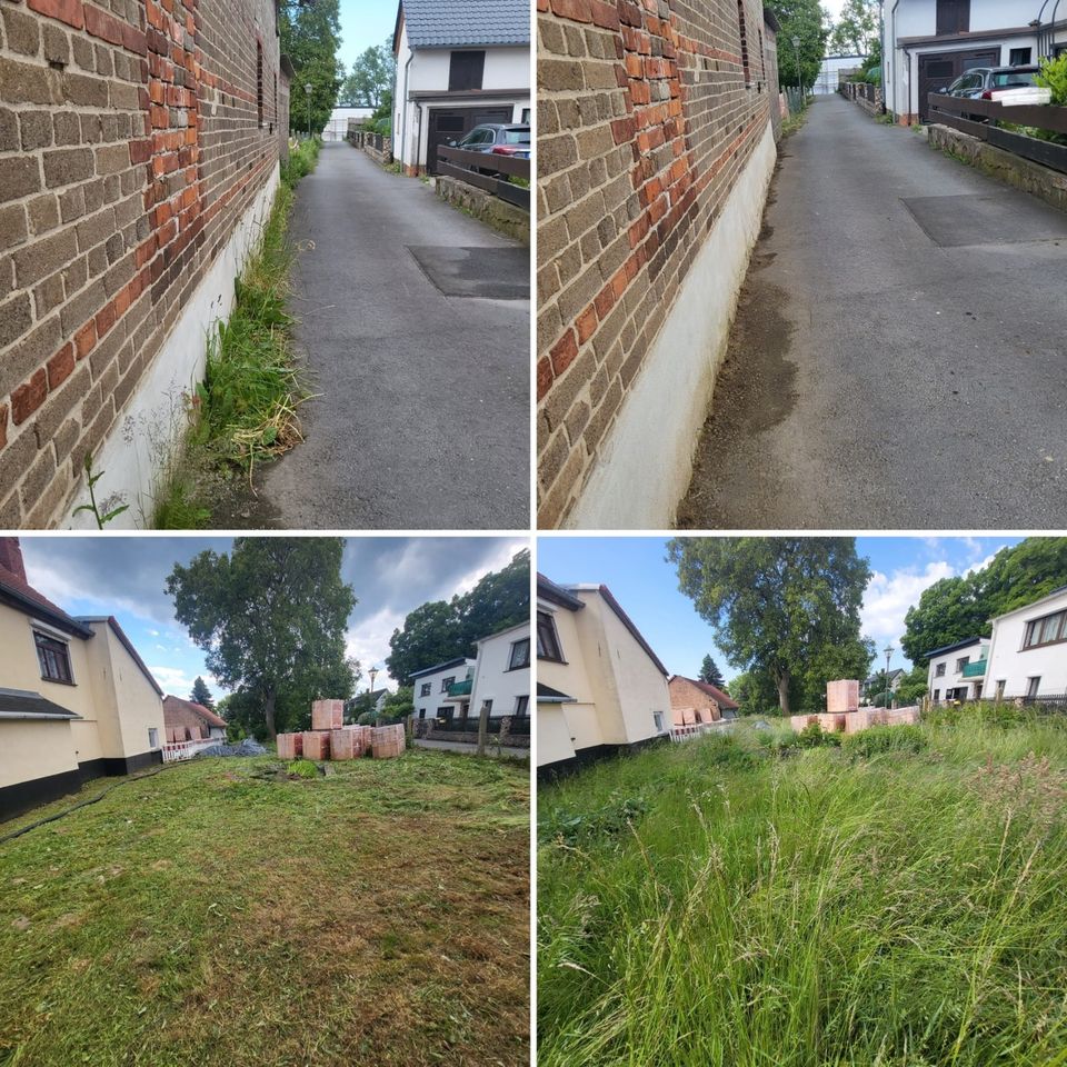 ‼️ Grünschnitt, Heckenschnitt, Gartenpflege, Objektpflege ‼️ in Pössneck