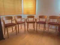 5 Stühle aus Buche Bayern - Laberweinting Vorschau