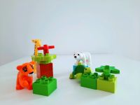 Lego Duplo 10801 Jungtiere Schildkröte Tiger Eisbär Giraffe Schleswig-Holstein - Husby Vorschau