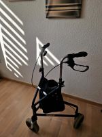 Dreiecksecksrollator Dresden - Wilsdruffer Vorstadt/Seevorstadt-West Vorschau