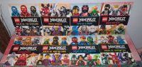 8 Lego Ninjago Masters of Spinjitzu Hardcover Bücher UK Sachsen-Anhalt - Rätzlingen bei Haldensleben Vorschau