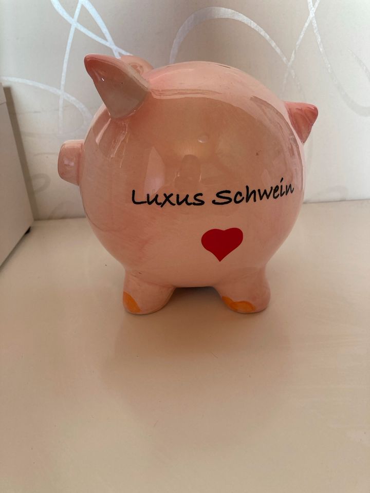 Sparschwein „Luxus Schwein“ in Schönaich