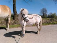 Pflegebeteiligung gegen Mithilfe Herzogtum Lauenburg - Elmenhorst Vorschau