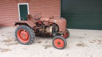 Steyr 80 Oldtimer Traktor Scheunenfund Nordrhein-Westfalen - Borken Vorschau