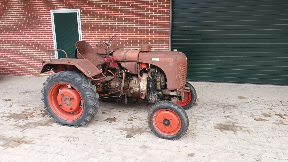 Steyr 80 Oldtimer Traktor Scheunenfund in Borken