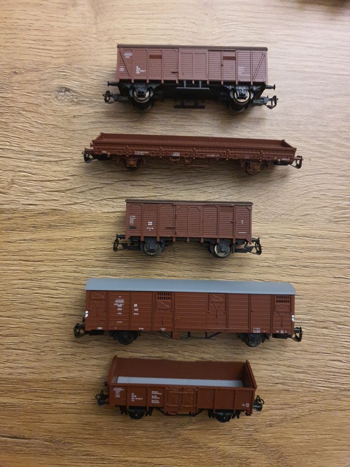 TT , Tillig , 5x Güter wagen , DR , Neuwertig , NEM , 1:120 in Löcknitz