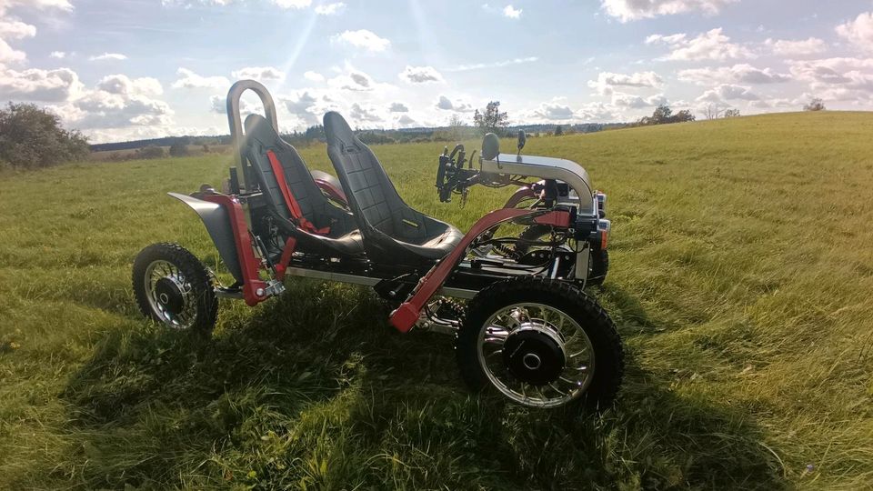 Geführte Swincar Tandem Tour in Stiege